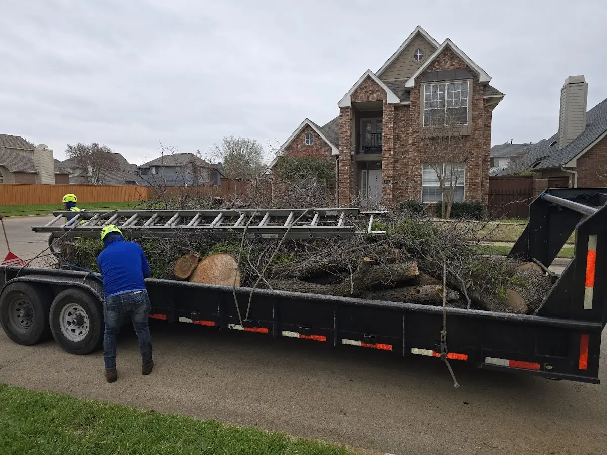 Expert Lot Clearing with proper safety equipment in Ontario